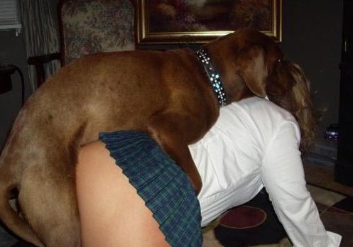 dog sex
